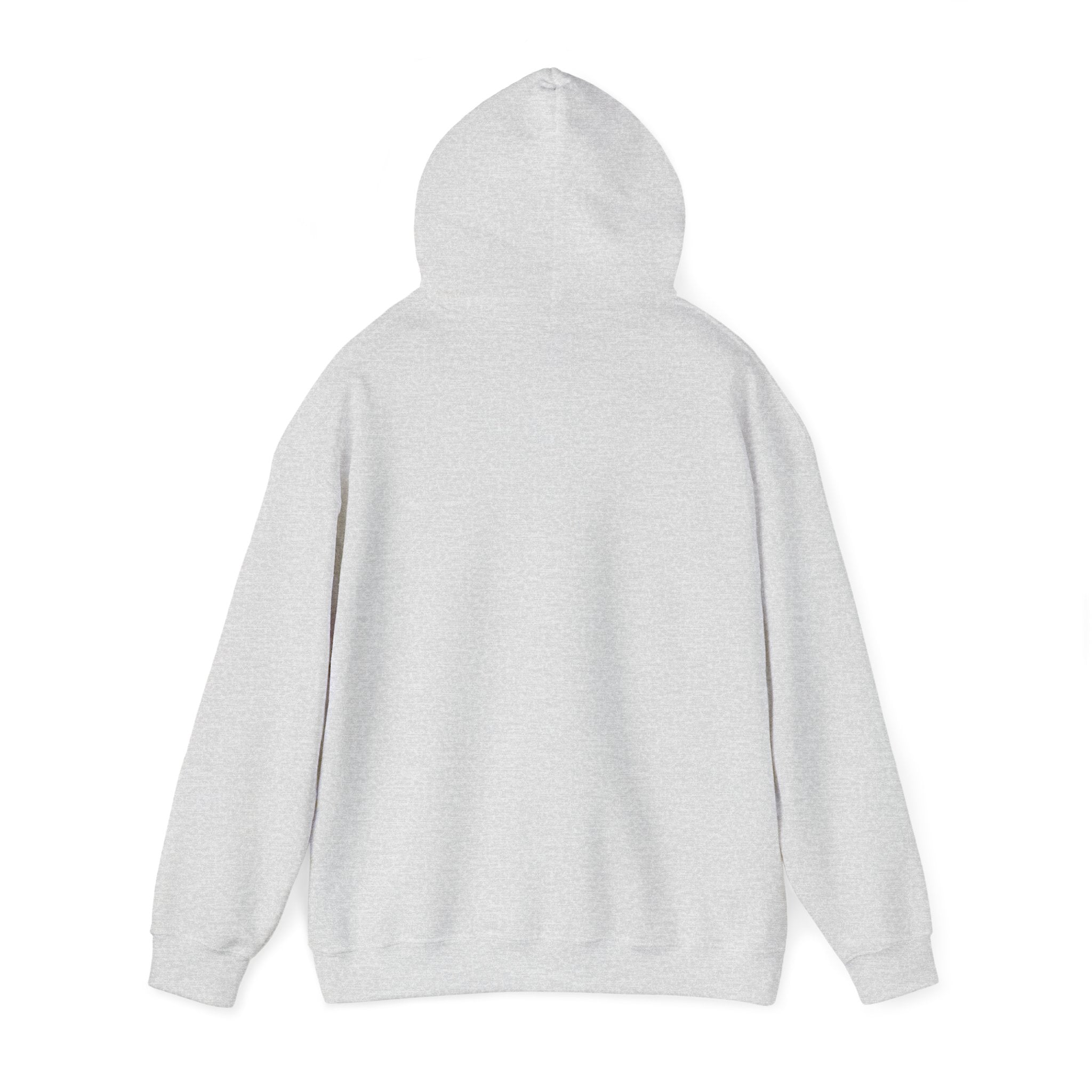 American Teen Hooded Sweatshirt