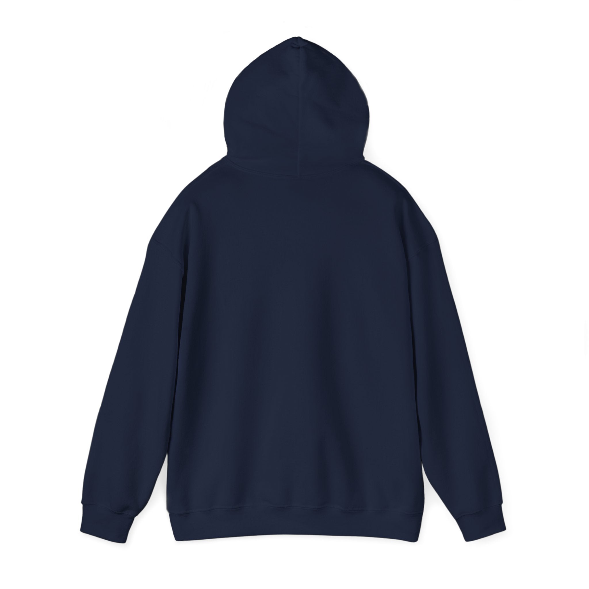 American Teen Hooded Sweatshirt