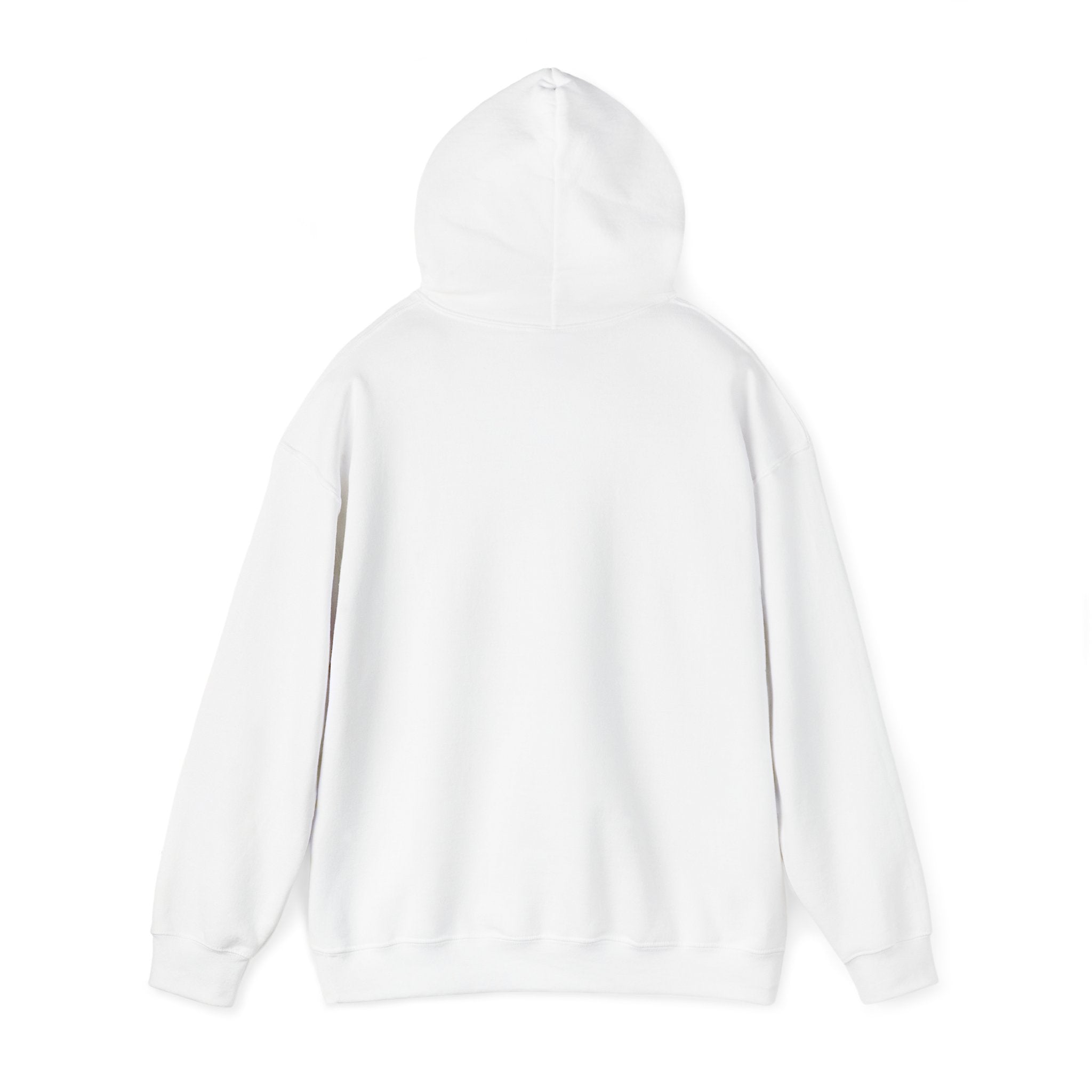 American Teen Hooded Sweatshirt