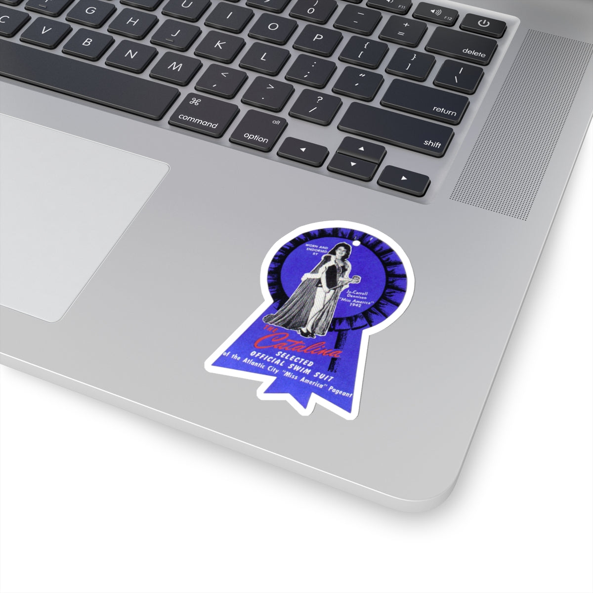 Jo Carroll Blue Ribbon Sticker